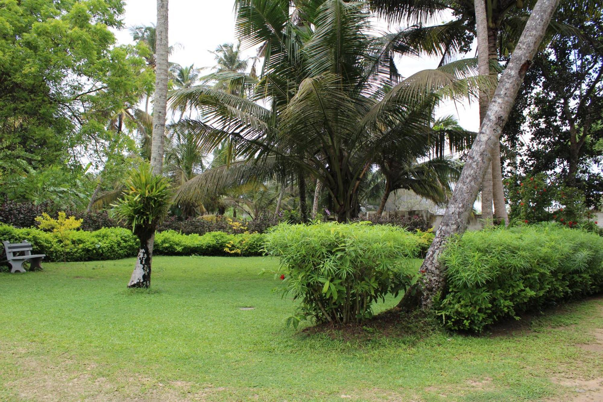 Sun And Surf Rest Hotell Ahangama Eksteriør bilde