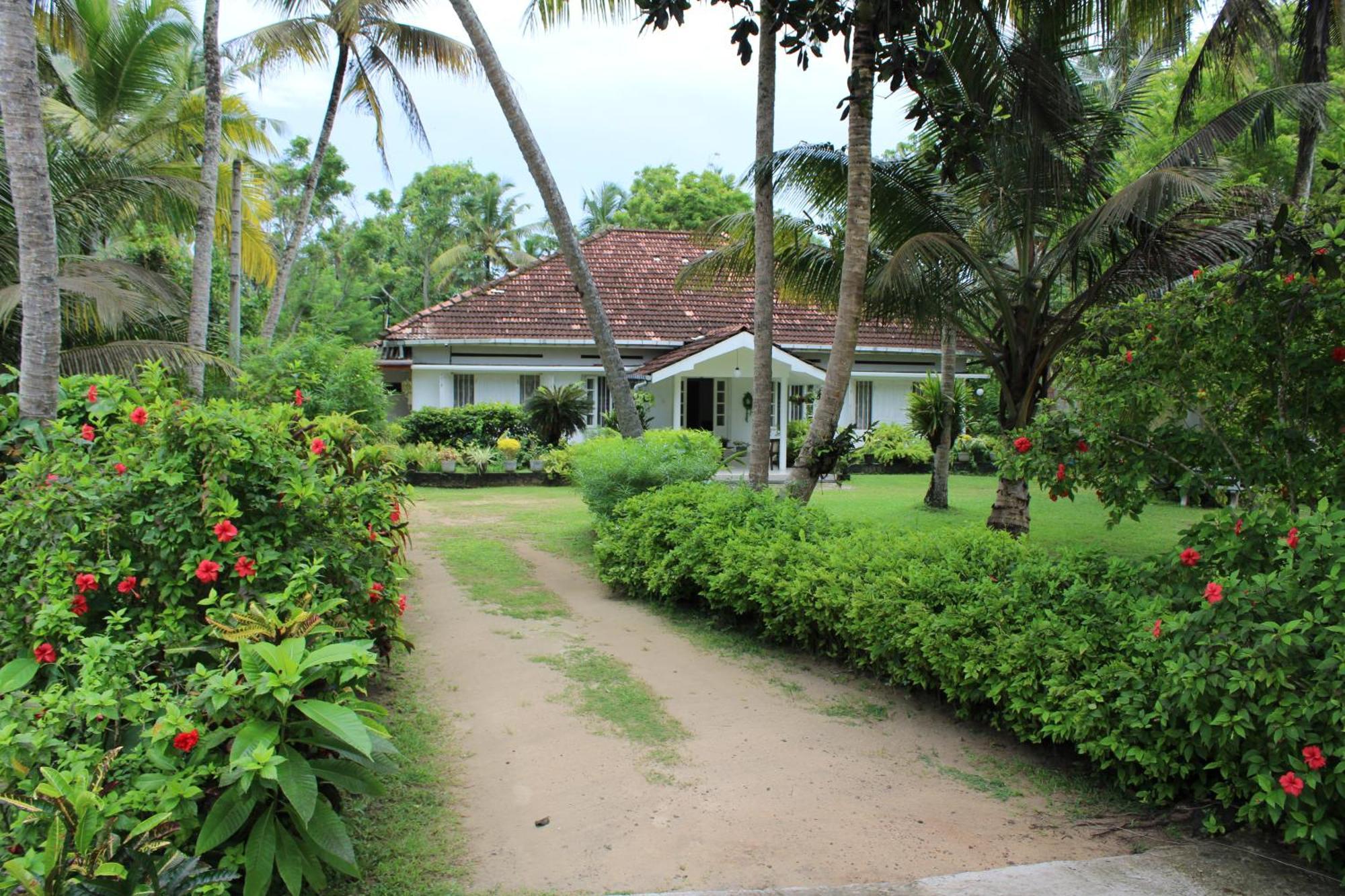 Sun And Surf Rest Hotell Ahangama Eksteriør bilde