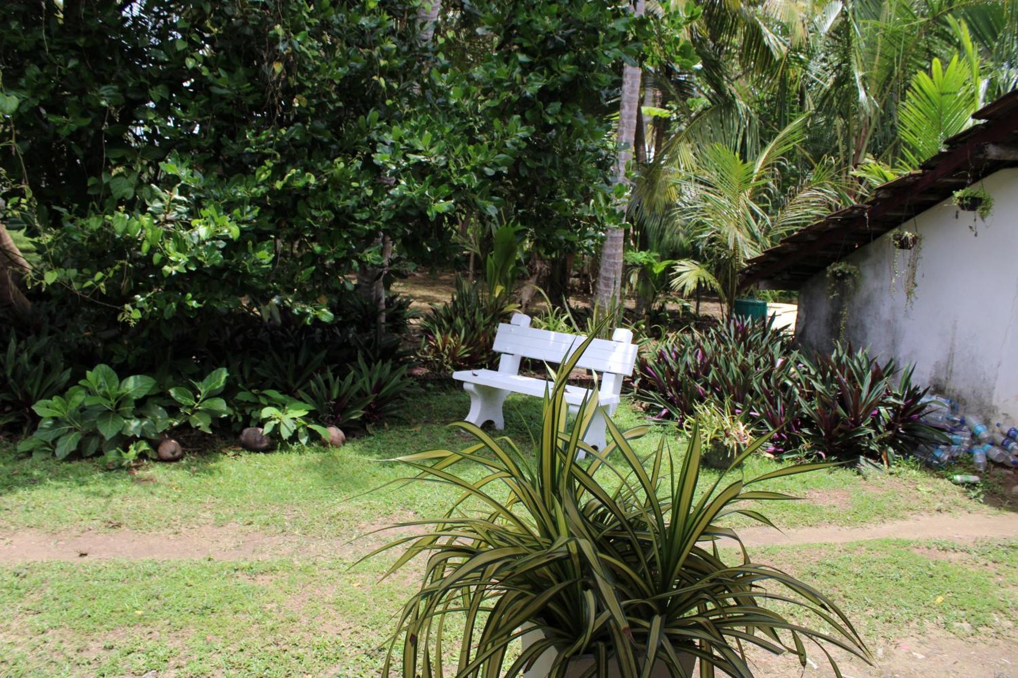 Sun And Surf Rest Hotell Ahangama Eksteriør bilde