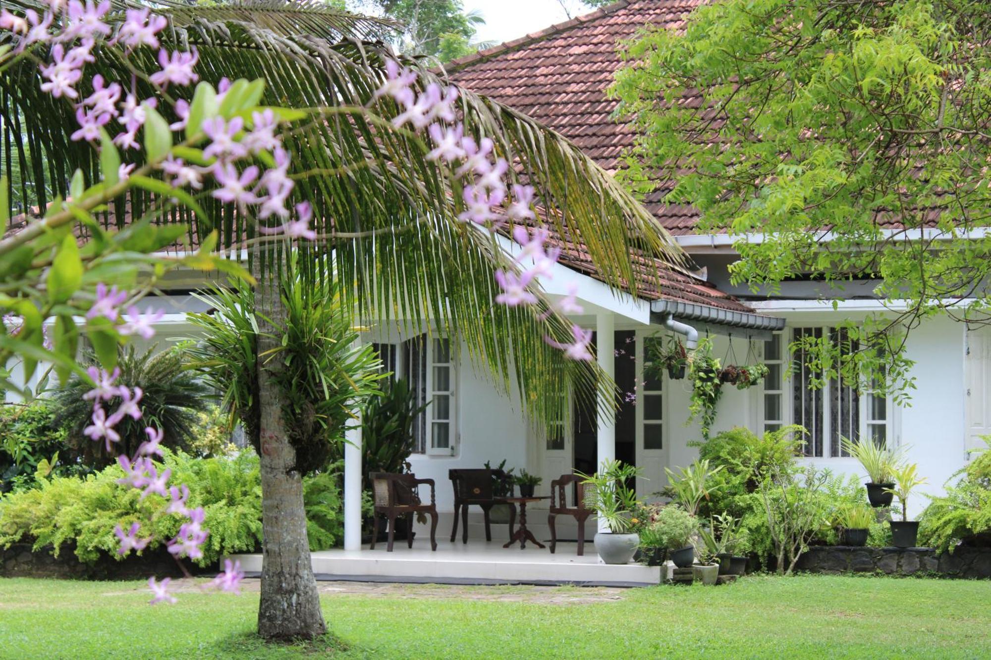 Sun And Surf Rest Hotell Ahangama Eksteriør bilde