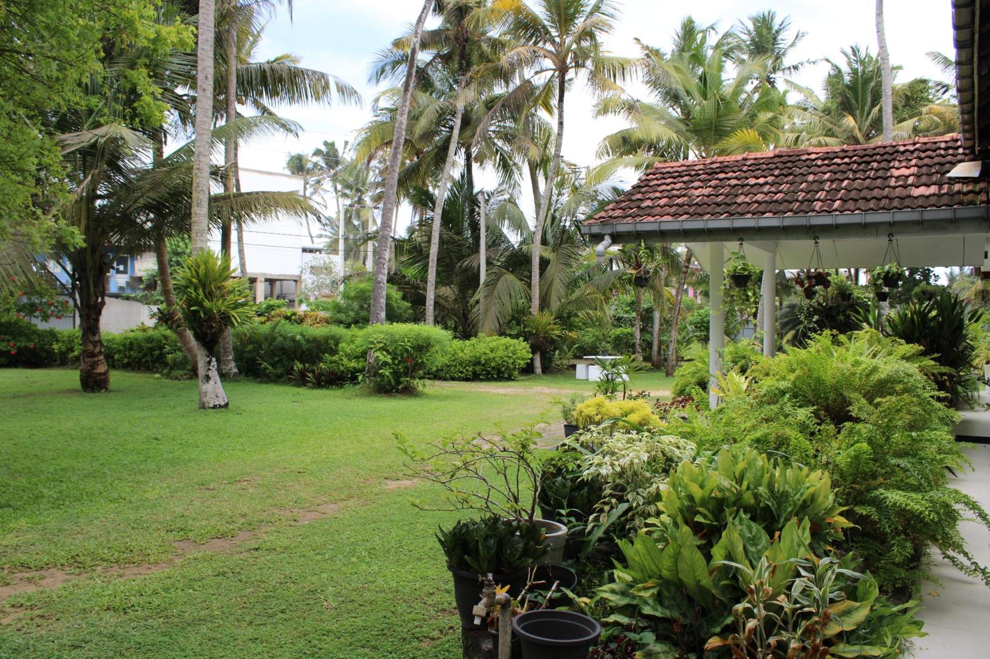 Sun And Surf Rest Hotell Ahangama Eksteriør bilde