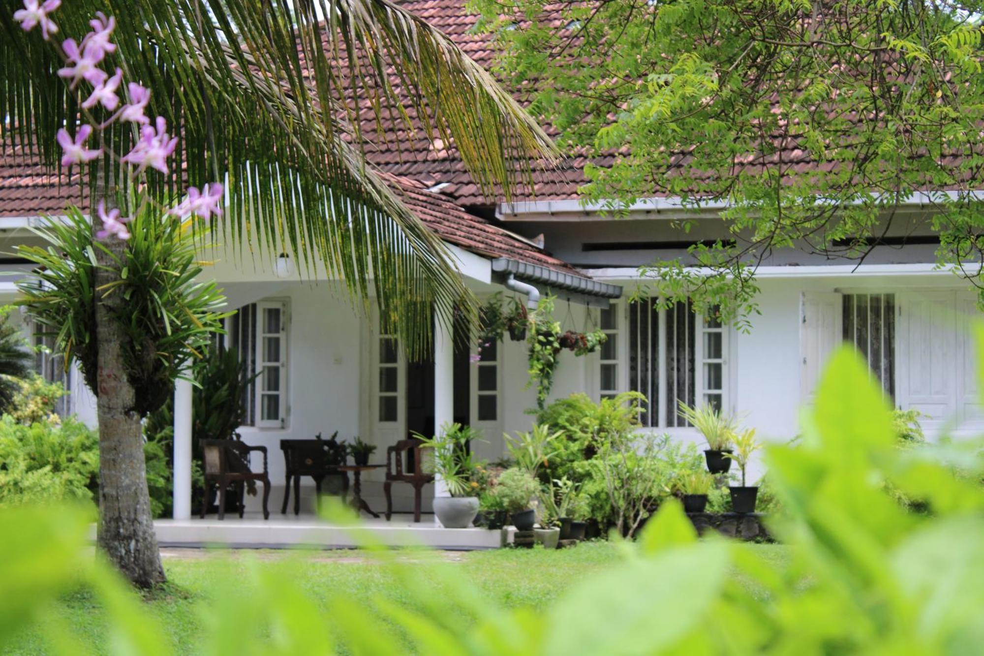 Sun And Surf Rest Hotell Ahangama Eksteriør bilde