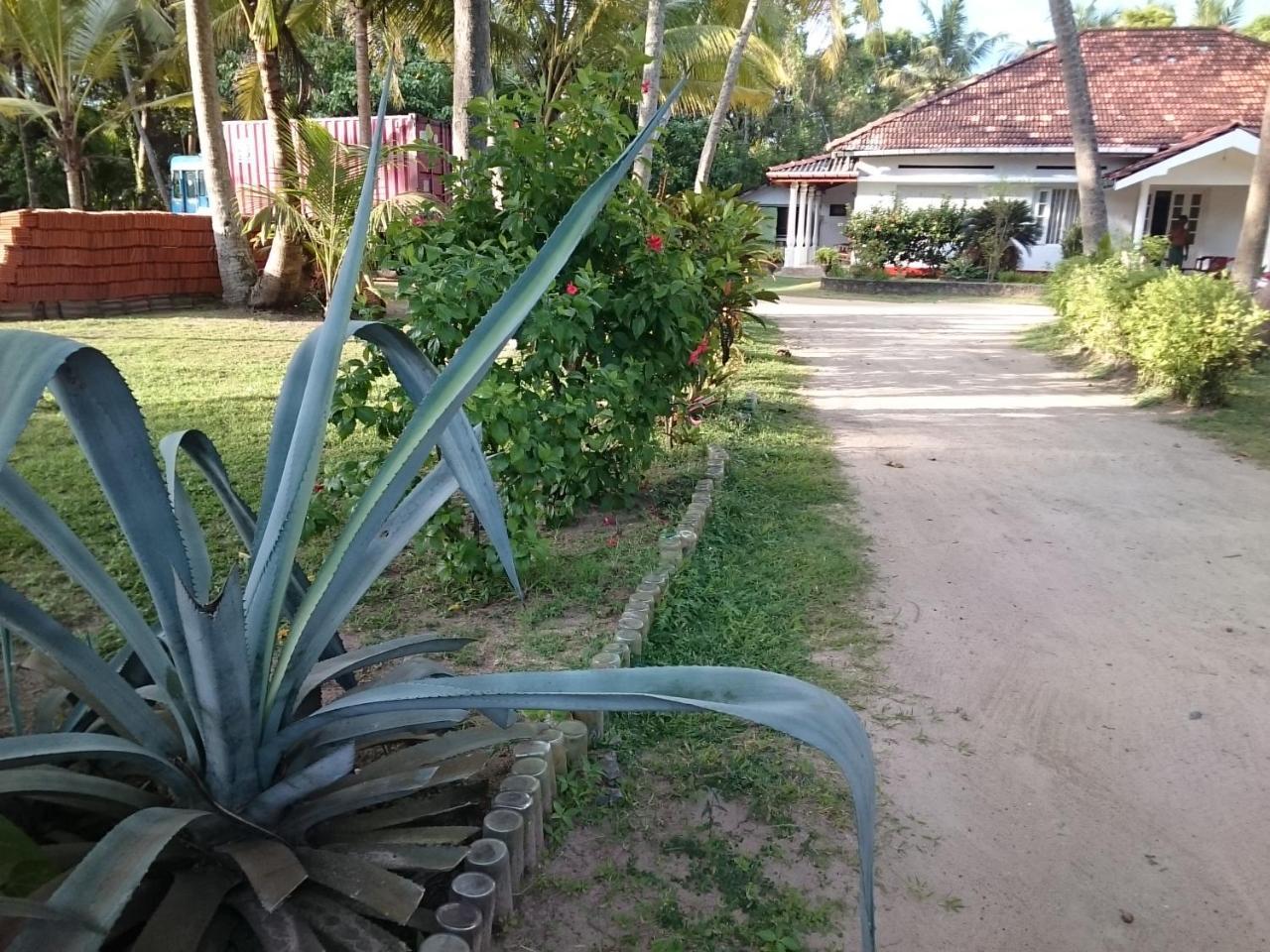 Sun And Surf Rest Hotell Ahangama Eksteriør bilde