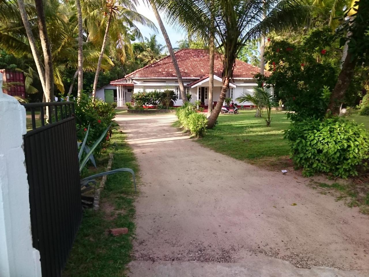 Sun And Surf Rest Hotell Ahangama Eksteriør bilde