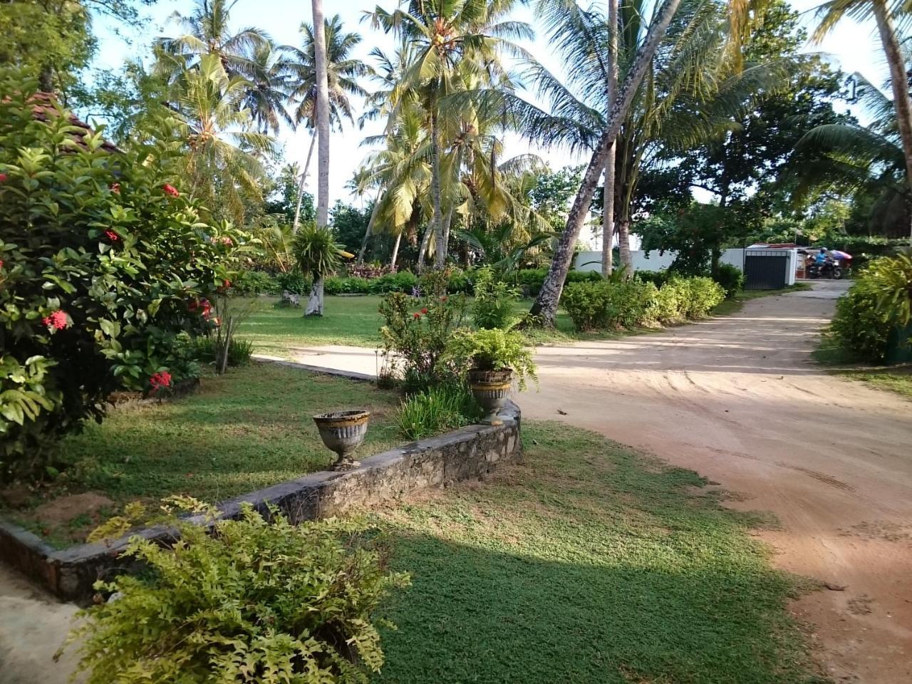 Sun And Surf Rest Hotell Ahangama Eksteriør bilde